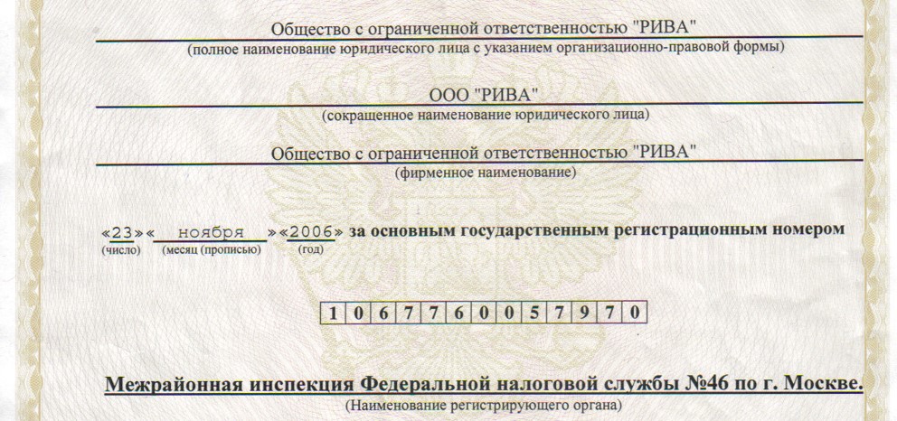 Свидетельство о регистрации юридического лица ООО 